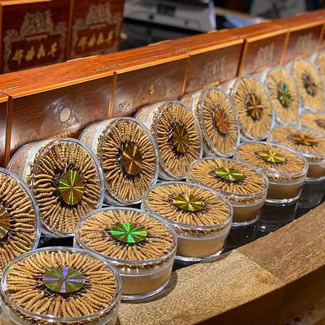 最高のチベットNagquグレードのワーム草冬虫夏草シネンシスミリタリス 