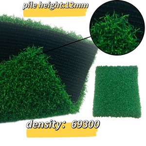 Tapis de gazon synthétique haute densité 12mm gazon artificiel en plastique souple écologique et ignifuge/<span class=keywords><strong>Gateball</strong></span> et hockey sur gazon - Product Image 2
