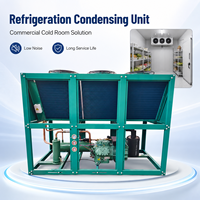 Equipos de Refrigeración a Gran Escala para Proyectos de Almacenamiento en Frío y Sistemas de Control de Temperatura