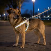 Harnais pour chien en polyester réglable en forme de Y, rembourré et réfléchissant, avec logo personnalisé, vente en gros