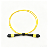 Kabel Serat Optik Trunk MPO Patch Cord 12 24 Core MTP Harga Pabrik Hongsheng, Mendukung Panjang Kustom OEM ODM