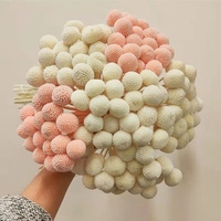 Fleurs de Craspedia Conservées Les Plus Populaires de 2022 Décoration Maison & Mariage Décoration de Noël Boule Dorée Lumière Solaire Longue Durée