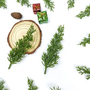 Foglie di Felce Artificiali in PE, Decorazione per Albero di Natale, Pendente a Foglia di <span class=keywords><strong>Vite</strong></span>, Decorazione per Celebrazioni Festive, Foglie di Pino - Product Image 5