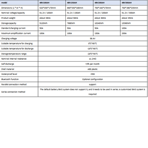 แบตเตอรี่ 52.1V 100-300Ah, กล่อง ABS ระดับ IP65, ชาร์จ 100A, BMS, บลูทูธ, สำหรับยานพาหนะความเร็วต่ำและรถกอล์ฟ - Product Image 2