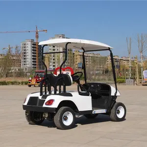 2023 Ready To Ship 2 4 6 Seater Electric Golf Cart For Sale