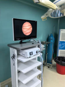 Câmera Endoscópica Médica para Cirurgia <span class=keywords><strong>ENT</strong></span> IKEDA <span class=keywords><strong>YKD</strong></span>-<span class=keywords><strong>9006</strong></span> - Product Image 4