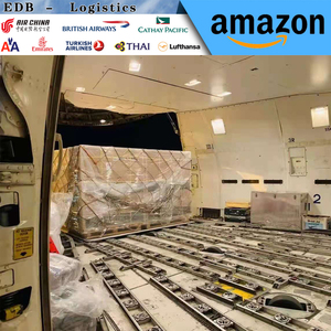 Chine vers les États-Unis/Europe/France/Pays-Bas/Royaume-Uni/Allemagne/Australie, meilleurs frais de transport, livraison porte à porte - Product Image 4