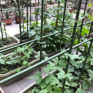 Plastic Coated Steel Pipe Plant Climbing <b>Pole</b> <b>Gardening</b> Bracket Accessories - Product Image 5