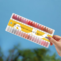 BORN PRETTY Nouvelle palette de présentation de vernis gel, nuancier professionnel pour ongles