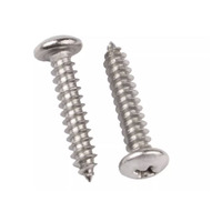 Vis à tête cruciforme en acier inoxydable nickelé DIN standard classe 6, finition oxyde noir, toutes tailles, vente chaude YPH