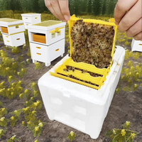 Nouvelle boîte d'accouplement portable SP Mini Queen - Ruche d'accouplement pour abeilles avec cadre d'alimentation - Outil professionnel d'apiculture