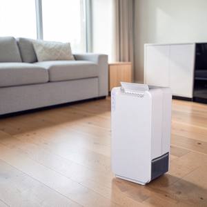 Deshumidificadores de Aire con Certificación DDS CE para Sala de Estar, 10L, Función de Temporizador, Alto Rendimiento, Personalización Disponible - Product Image 1