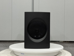 Système de haut-parleurs DJ avec impédance de 8ohm pour Bluetooth Neodymium Magnet Party Box pour une qualité sonore parfaite - Product Image 4