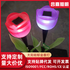 Hejia Custom Led Landscape <b>Light</b> Solar Outdoor Ground <b>Socket</b> Tulip Garden Decorative Lighting For Courtyard Decoration - Product Image 4