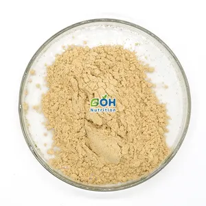 GOH Extrait de feuille de Loquat de qualité cosmétique de qualité supérieure Poudre d'acide ursolique 25% Acide ursolique