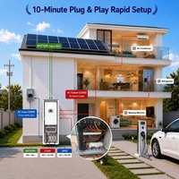 Système de stockage d'énergie domestique hybride tout-en-un monophasé JApower 6kW 8kW 16kWh 20kWh 32kWh avec onduleur hybride Deye