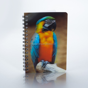 Cuaderno Lenticular de Alta Calidad con Impresión 3D Personalizable, Tamaños A4/A5/A6, en PP/PET, con Diseño Elegante y Gran Viableidad Global - Product Image 6
