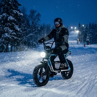 Vélo électrique résistant au froid avec batterie amovible dissimulée, pédalage fiable en hiver pour les trajets de courte distance en station de ski