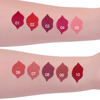 Cmaddu Matte Lipsticks Best-seller Nouveau Design Populaire Semi Fini Étanche Longue Durée Antiadhésif Rouge À Lèvres