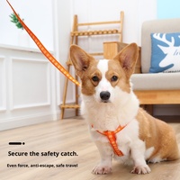 Venta Directa de Fábrica: Correa Extensible de Lujo para Mascotas, Conjunto de Arnés para Perros, Color Personalizado para Perros y Gatos, Cadena para Perros, Suministros para Mascotas