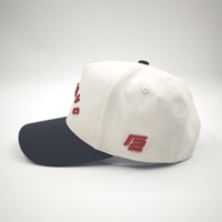 Gorra de Béisbol Deportiva al por Mayor, de Alta Calidad, con Estructura en A, Logotipo Personalizado, Bordado 3D, 5 Paneles, de Algodón, con Letras, Dos Tonos