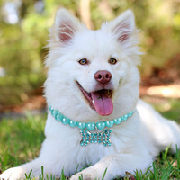 Colliers pour animaux de compagnie en plastique de style chinois à la mode, colliers pour petits chiens et chats, accessoires pour animaux de compagnie à nœud papillon mignons les plus vendus, toutes saisons