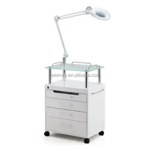 Newest Beauty Stool Trolley Spa Clinic Beauty Salon Drawer Beauty Case Trolley Stand