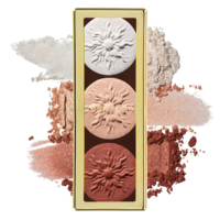 Marque privée Naturel Sans Gluten Sans Paraben Sans Parfum Mat Sculpting Highlight & Contour Palette de poudres