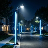 Éclairage paysager LED AC extérieur haut de gamme à double tête, qualité ingénierie, étanche IP65, profil en aluminium