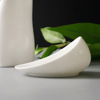 Tazón de Servir Irregular Blanco TESSWANG con Borde Elevado para Restaurantes de Alta Cocina, Vajilla para Catering al por Mayor