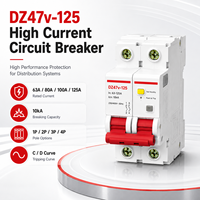 Disjoncteur haute intensité DZ47v-125 MCB 1P 2P 3P 4P 63A 80A 100A 125A 230V 400V AC 10kA Courbe C D Rail DIN