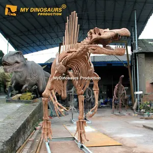 Мой динозавр реальный размер шпинозавр Скелет Динозавр для выставки