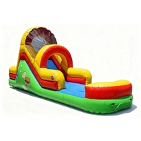Un petit toboggan aquatique gonflable convient à la location pour une utilisation dans la cour d'une maison.