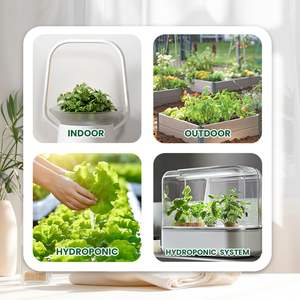 Mélange d'herbes anciennes, 15 sachets, plus de 4500 graines, non-OGM, <span class=keywords><strong>basilic</strong></span>, menthe, <span class=keywords><strong>ciboulette</strong></span>, pour jardin d'herbes aromatiques intérieur/extérieur - Product Image 4