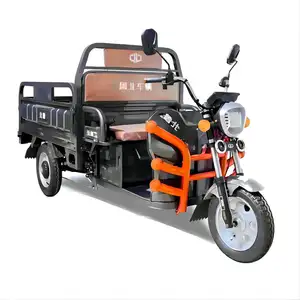 LUBEI Vehicle Manufacturer 1.3m/1.5m/1.6m/1.8m 800W/1000W/1500W 3 Wheel Cargo Tricycle Electric Motor Electric Tricycle Cargo