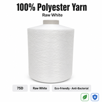 Tricotage chaîne 100 % polyester brut 75D, écologique et antibactérien, de haute qualité, personnalisé, vente en gros, fournisseur chinois, produit phare