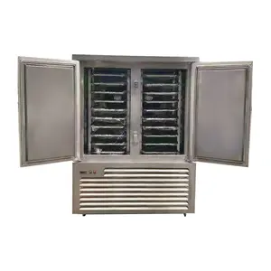 Freezer kecil berpendingin udara digunakan untuk pembekuan makanan dengan cepat untuk mengunci freezer nutrisi