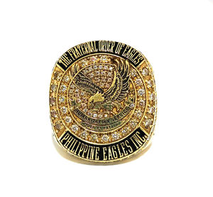 Anillo de fraternidad personalizado de buena calidad |   Anillo Personalizado con Letra Griega |   Opciones de Oro y Plata - Product Image 3