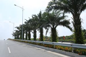 Cercado de carretera en proyectos clave - Product Image 3