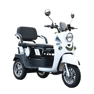 Triciclo elétrico 3 rodas scooter mobilidade, caminhão manequim 1 tonelada transporte motocicleta de carga seguro durável hidráulico automático