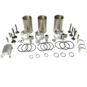 Fyoz Overhaul Rebuild Kit (Kit gratis) para <span class=keywords><strong>Ec</strong></span> D1.1 D1.1dcbe4 Engine 4601 Excavator Repair Parts - Product Image 1