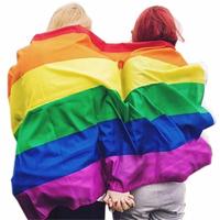Logo personnalisé Fan Cheering Body Pride Flag National Country Polyester Flag avec mât en aluminium