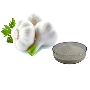Pasokan Pabrik Ekstrak Bawang Putih <span class=keywords><strong>Allicin</strong></span> 1%-5% <span class=keywords><strong>Allium</strong></span> <span class=keywords><strong>Sativum</strong></span> L. - Product Image 1
