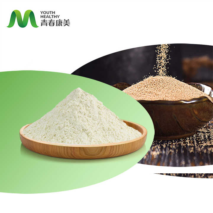 Torula Yeast Extract Beta Glucan 80% Buy In Youth Biotech
