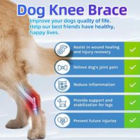 Attelle de genou réglable pour chien, support de jambe, protection pour la rééducation des blessures articulaires des pattes arrière des animaux de compagnie, pour chiens de petite, moyenne et grande taille