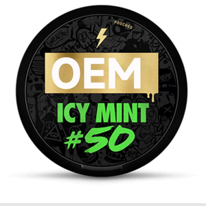 EU/USA Version Portable Snus Pouches & Cans with Custom Logo Printing <b>ABS</b> Plastic OEM/ODM Service for Energy Caffeine Powders - Product Image 1