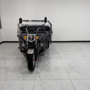 รถสามล้อไฟฟ้าคุณภาพสูงสำหรับผู้ใหญ่ รถสามล้อบรรทุกสินค้ากำลังสูง 3000 วัตต์ สำหรับขนถ่ายสินค้า - Product Image 5