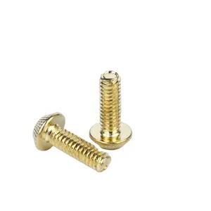 Hardware Processing Truss Knurled Head Brass Machining Screw Stainless Steel Processing Custom