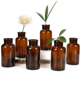 Bottles Glass Bud Vase Amber Style Small Tall Clear Glass Decorative Glass Vintage Wedding Home Decoration Birthday Modern