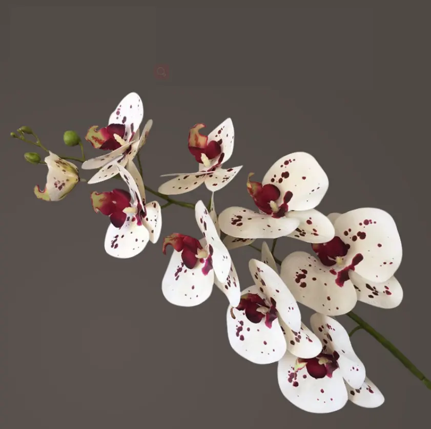 E07060 Kunstmatige Orchideeën Groothandel Faux Vlinder Orchidee Magnolia Cymbidium Faberi Rolfe Voor Bruiloft Decor